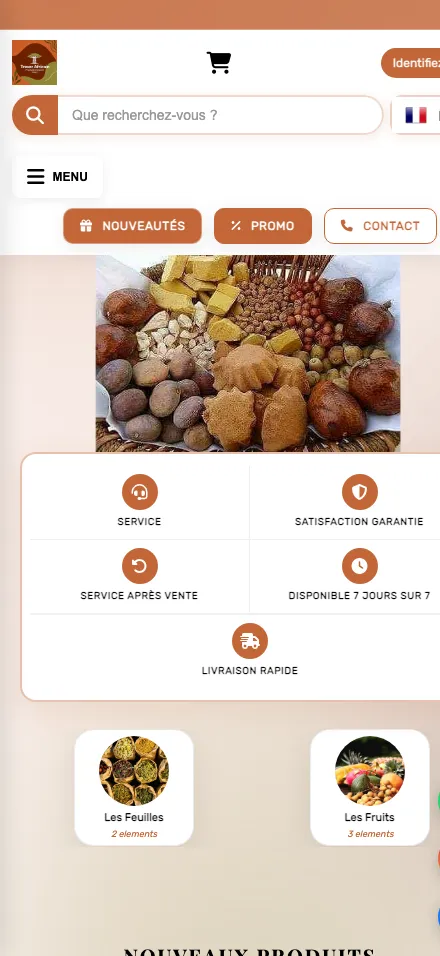 Trésor Africain — aperçu mobile